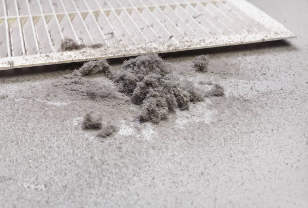 Best General Air Duct Cleaning  in Inglenook, CT