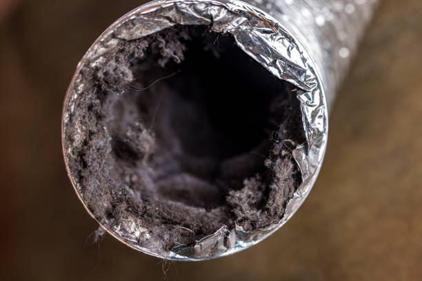 Best Air Duct Cleaning Near Me  in Inglenook, CT