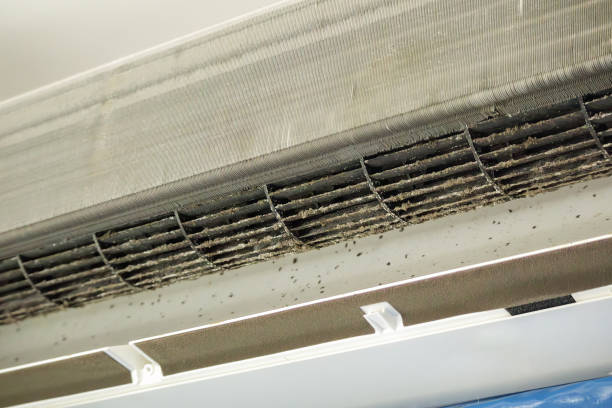 Professional Airduct Cleaning in Inglenook, CT